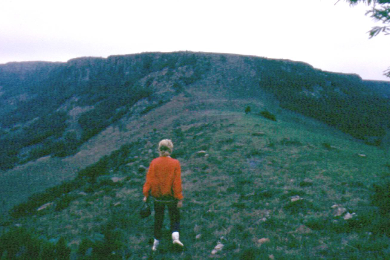 Heather near Pietrus Uys's grave below Devil's Pass, 1979