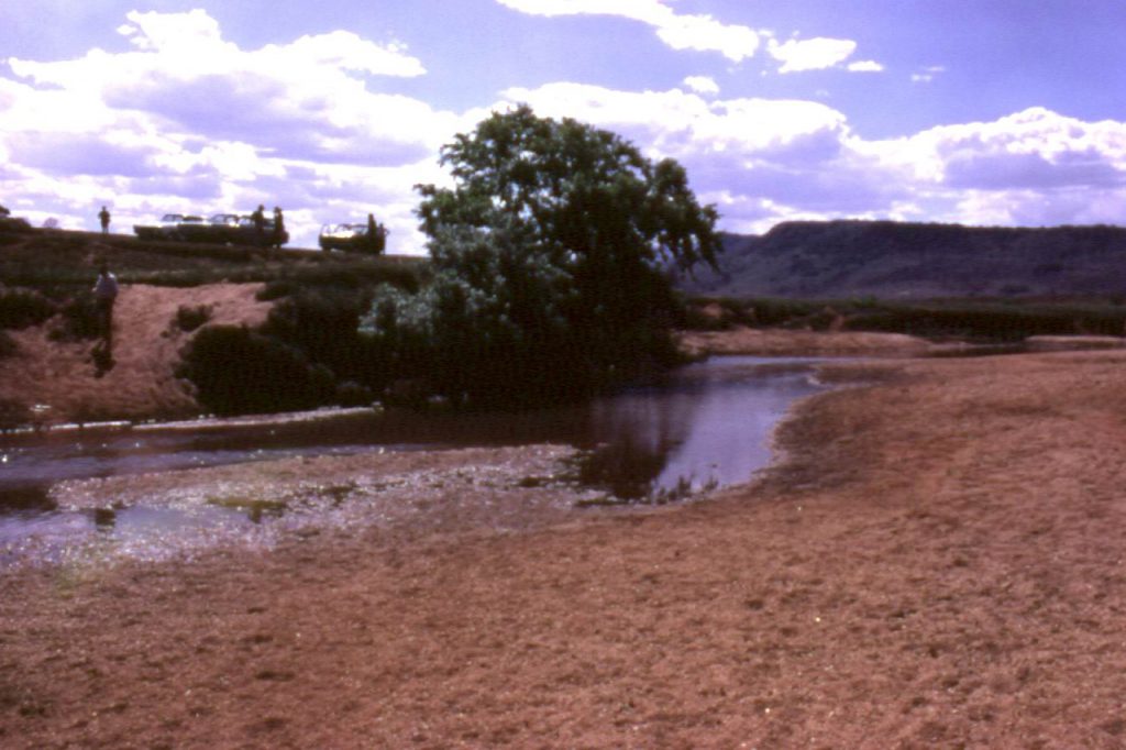 Ntombe Drift looking south, 1973